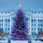 Senior Saints Activity